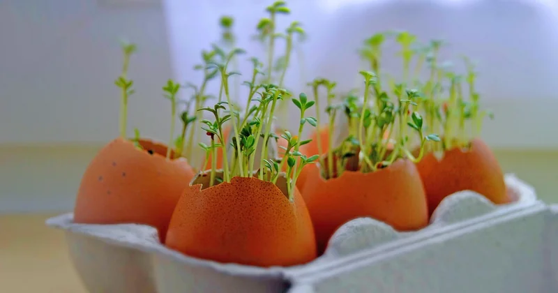 Ostern basteln mit Naturmaterialien: günstig, aber mit Haltbarkeitsproblem