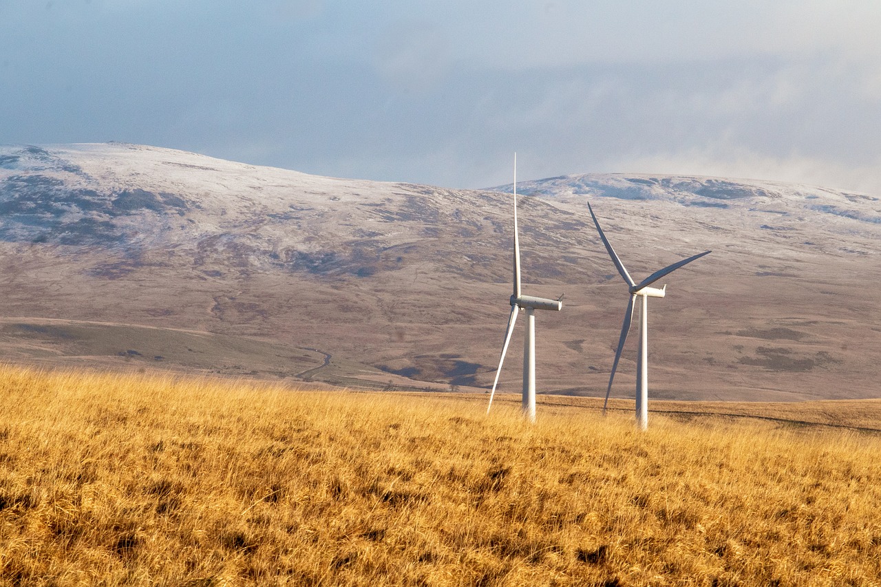 erneuerbare energien sind die zukunft der nachhaltigen energieversorgung. erfahren sie, wie solar-, wind- und wasserkraft unsere umwelt schützen und den co2-ausstoß reduzieren können.
