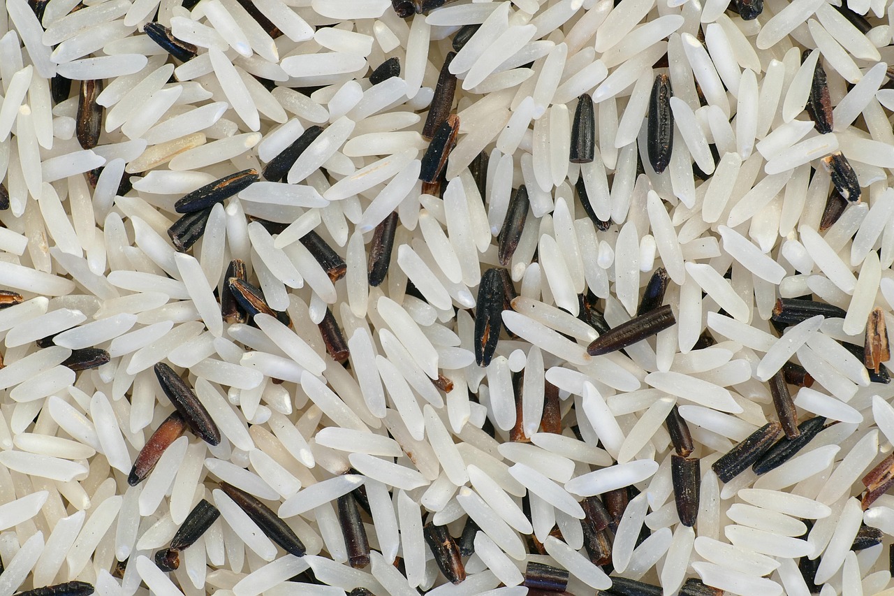 entdecken sie alles über reis: sorten, anbau, zubereitung und gesunde rezepte. erfahren sie, warum reis ein grundnahrungsmittel weltweit ist und wie sie ihn vielfältig in ihrer küche verwenden können.